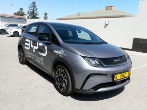 BYD Dolphin